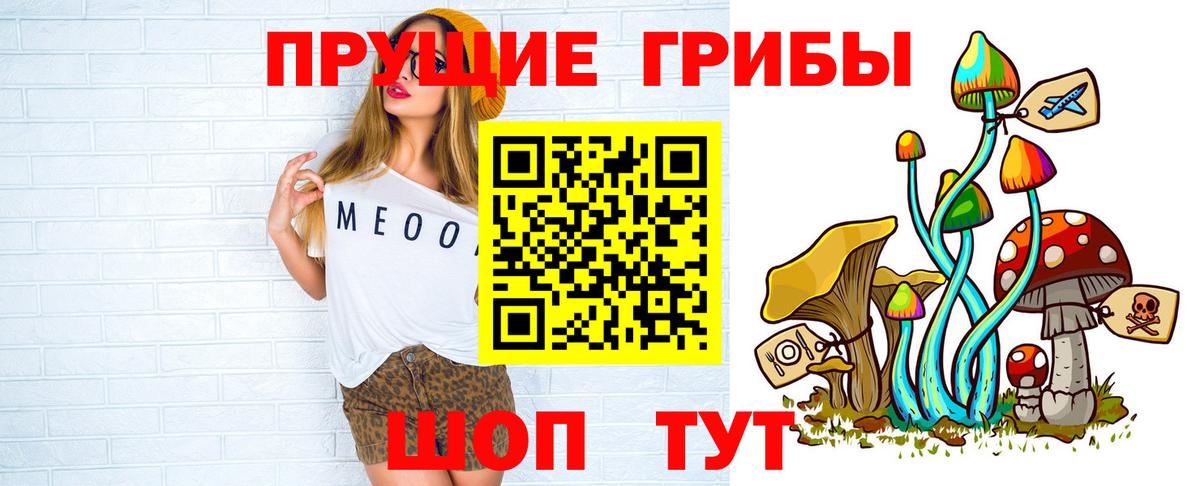 Псилоцибиновые грибы Psilocybine cubensis Белореченск